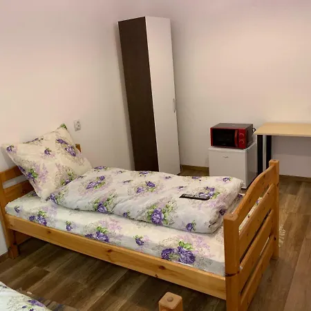 ゲストハウス Pensiunea Casa Maria *