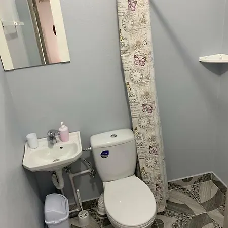 Pensiunea Casa Maria ゲストハウス